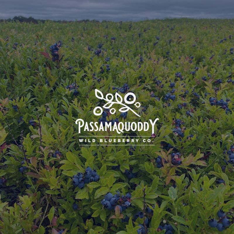 Passamaquoddy Wild Blueberry Company