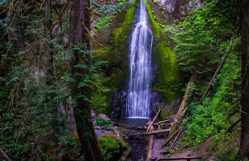 Marymere Falls Trail
