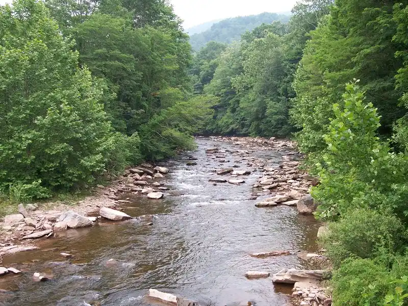 Cheat River for whitewater rafting