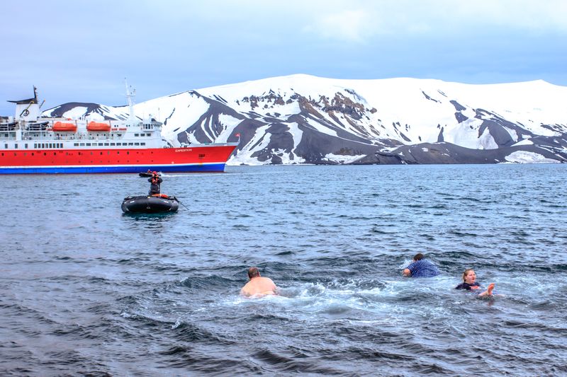 Polar plunge swims