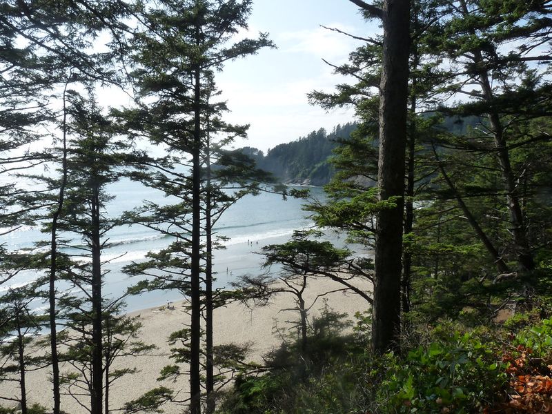 Cape Falcon Trail, Oregon