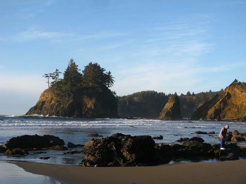 Trinidad State Beach, California
