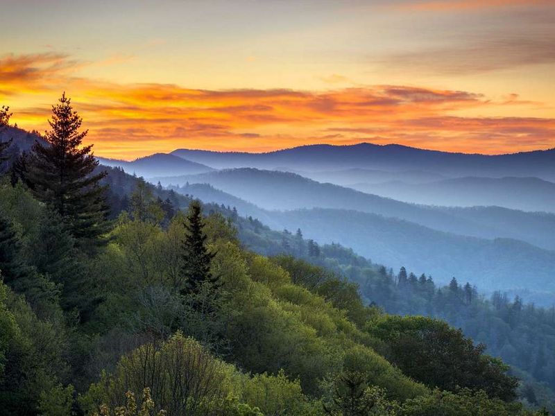 Tennessee — Great Smoky Mountains (Clingmans Dome / Cades Cove)