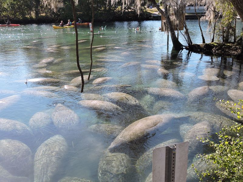 Manatee Sanctuary Park