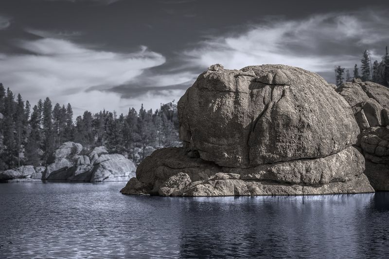 Sylvan Lake hikes for wildlife