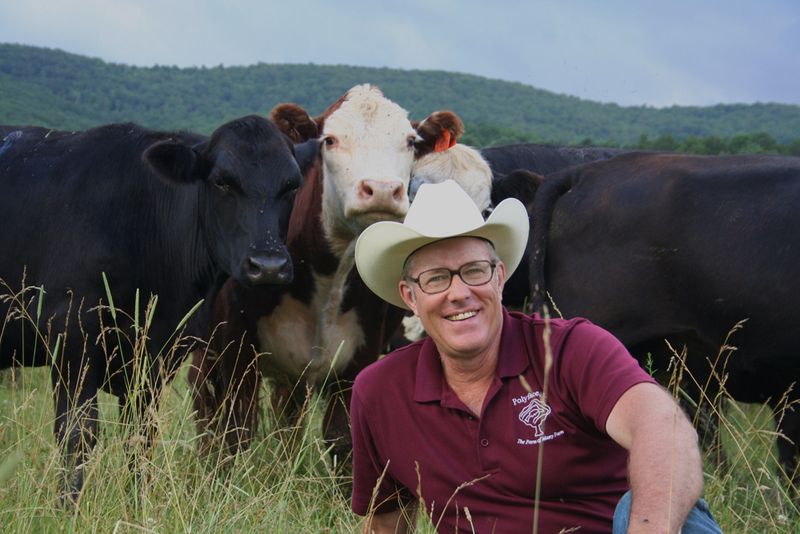 Harvest workshops at Polyface Farm, Virginia