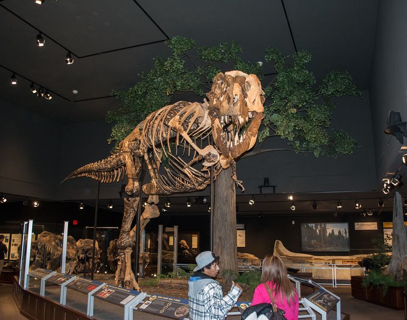 Museum of the Rockies, Bozeman, Montana