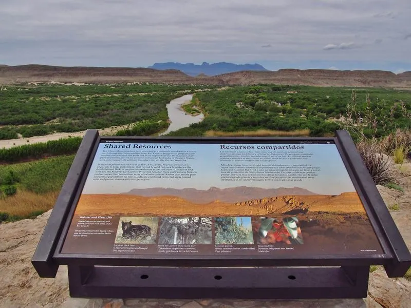 Wildlife Watching in Rio Grande Village