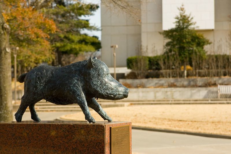 Fayetteville, Arkansas (University of Arkansas)