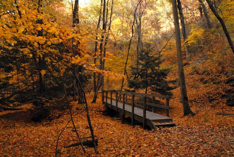 St. Louis Canyon