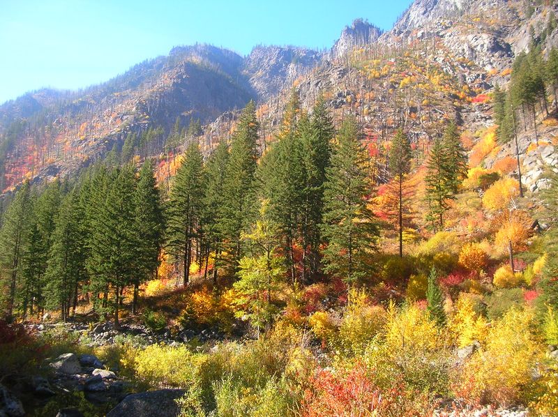 Wenatchee River