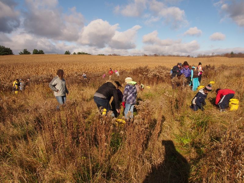Harvest Time at Local Orchards