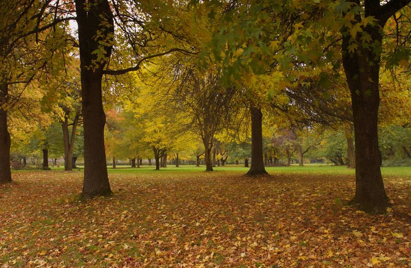 Lewis & Clark Recreation Area