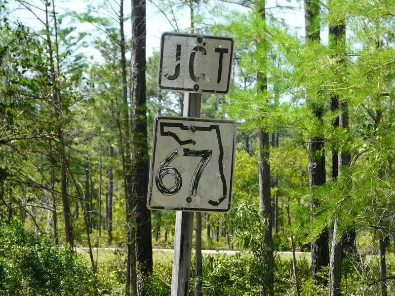 Apalachicola National Forest