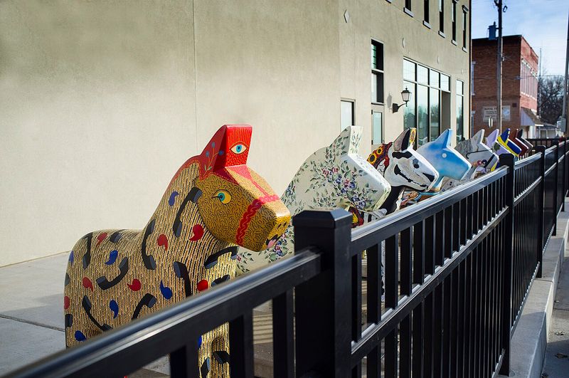 Wild Dala Horse Herd