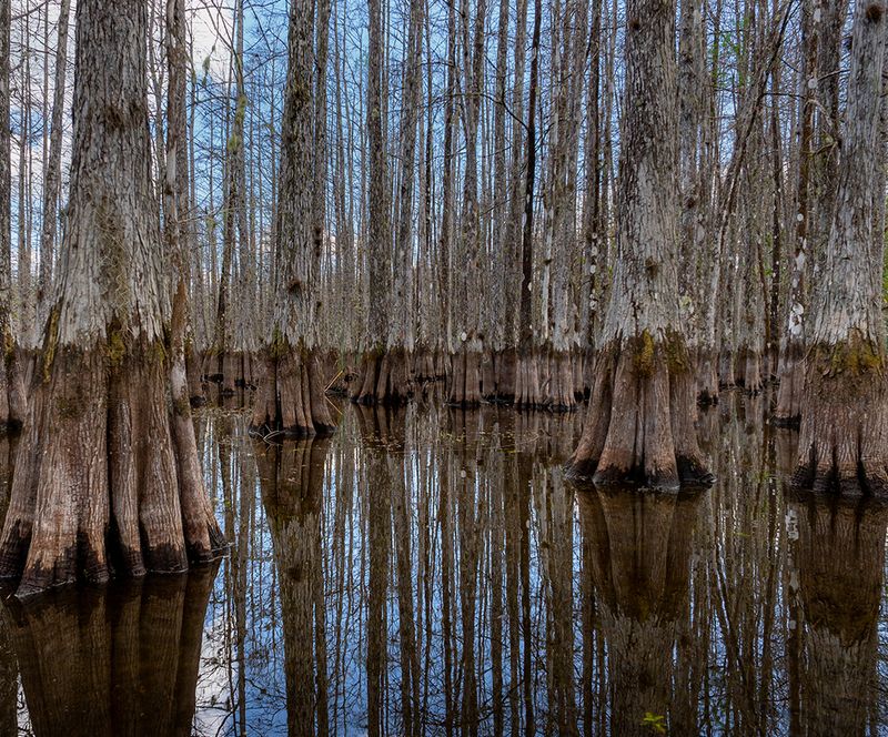 Cypress Woodworking
