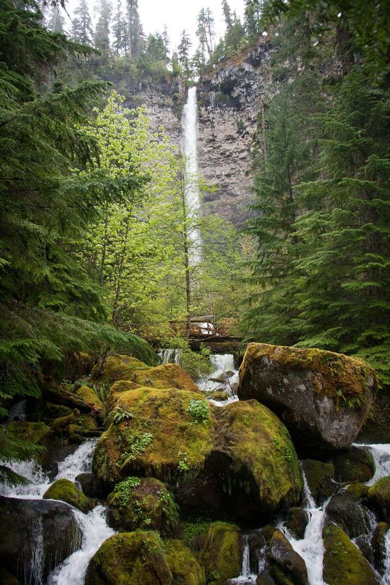 Watson Falls (Umpqua National Forest)