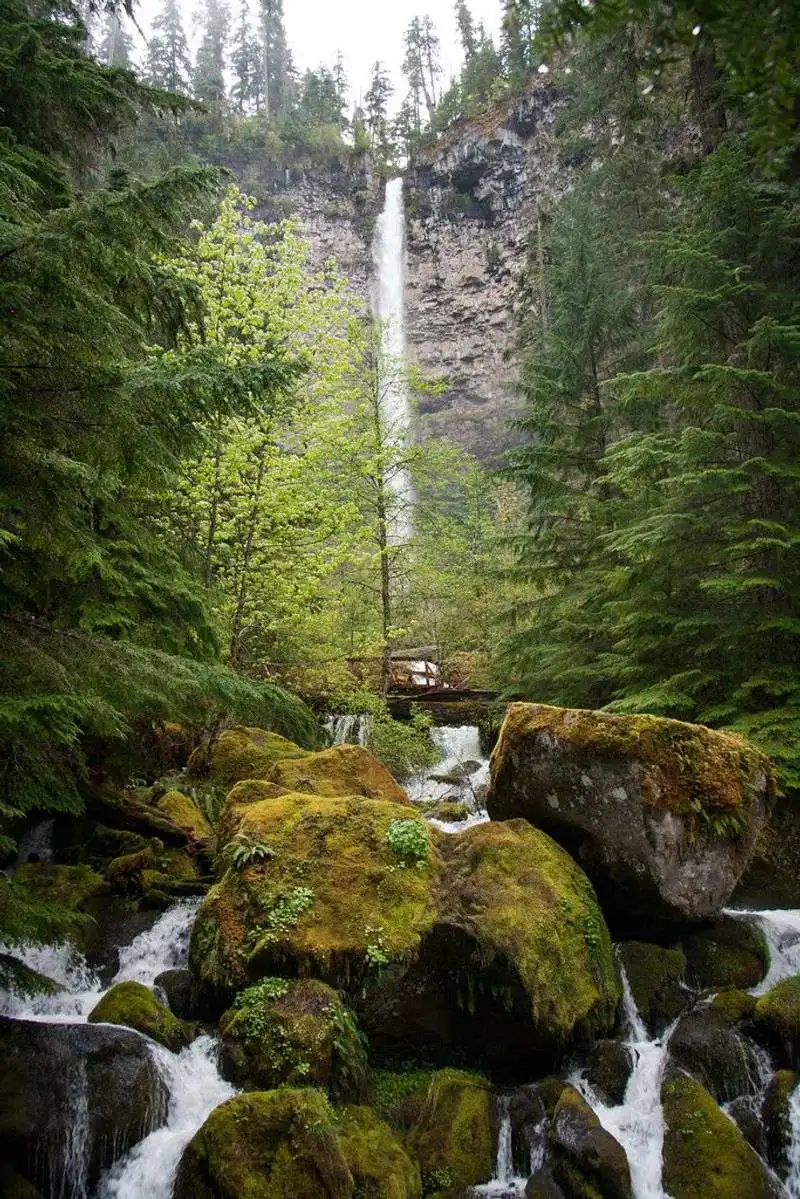Watson Falls (Umpqua National Forest)