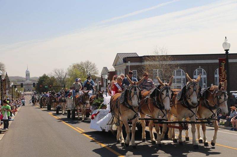 Mule Day – Columbia
