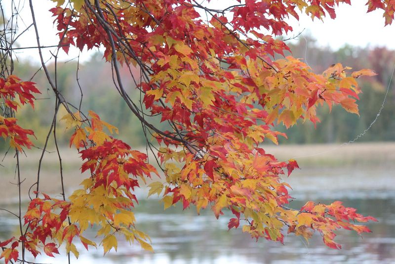 River Road National Scenic Byway