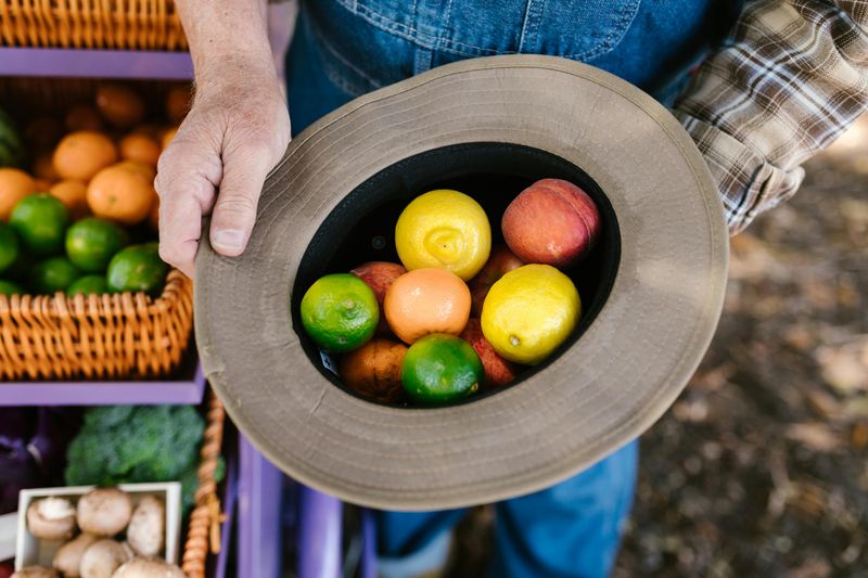 Enjoying Fall Events at the Oswego Farmers' Market