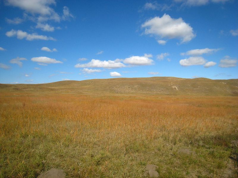 Nebraska Sandhills