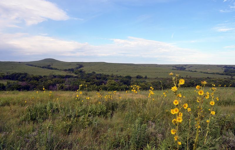 Konza Prairie