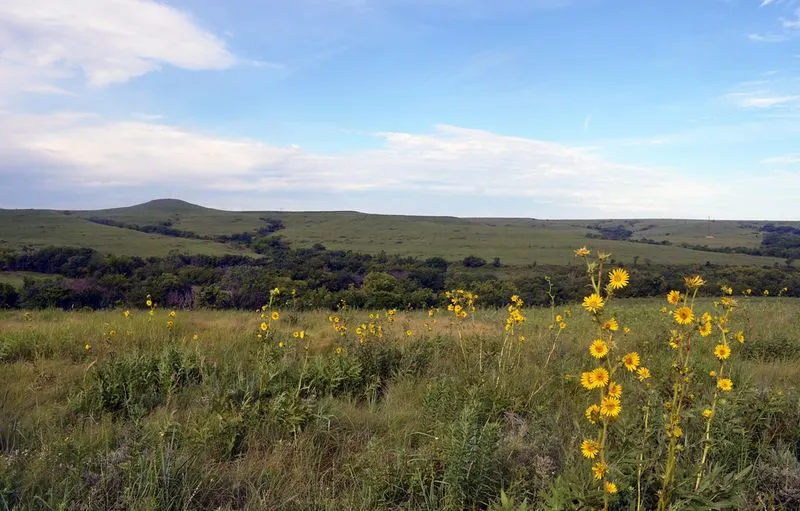 Konza Prairie