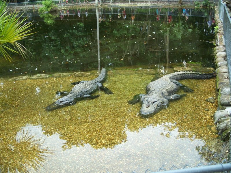 Homosassa Springs Wildlife State Park