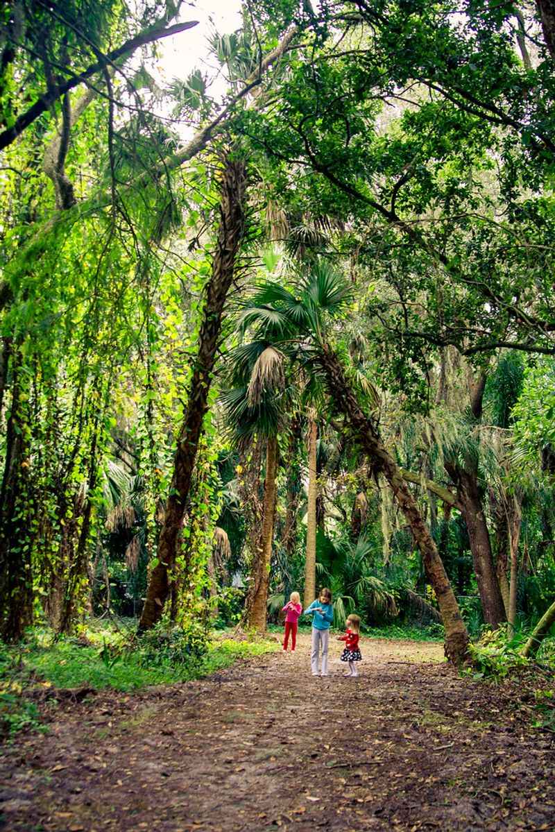Enjoy Nature at Palm Island Park
