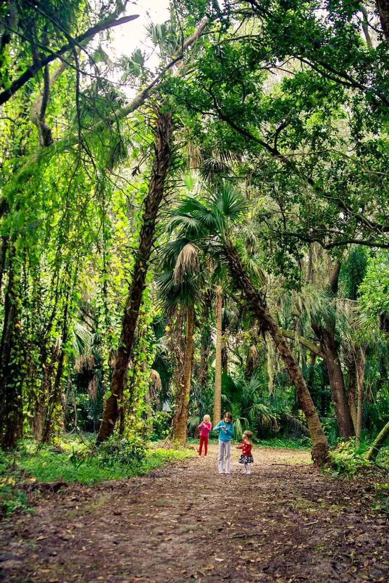 Enjoy Nature at Palm Island Park