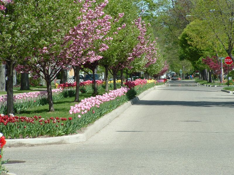 Tulip Time Festival – Holland, Michigan
