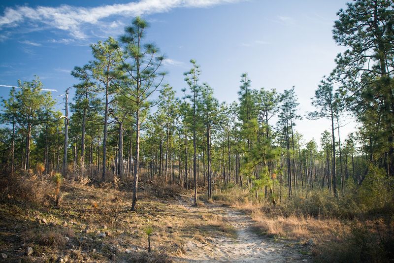 Louisiana