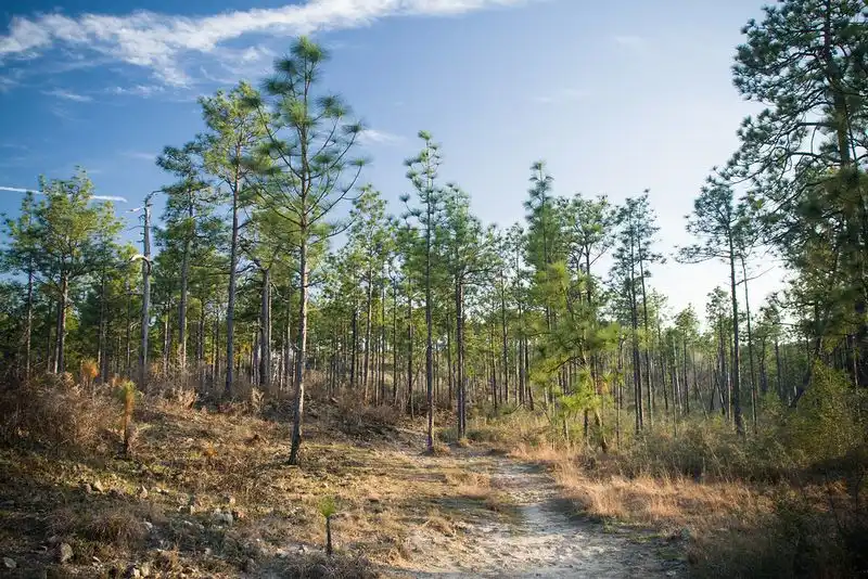 Louisiana