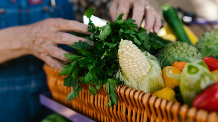 The 10 Best Farmers Markets in New England, According to Visitors