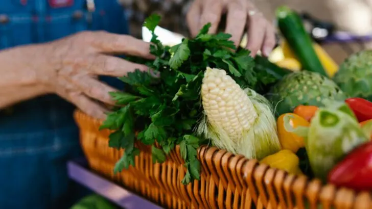 The 10 Best Farmers Markets in New England, According to Visitors