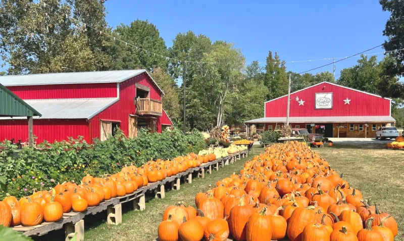 Pumpkin Hollow
