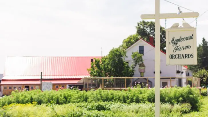 The 20 best apple orchards to visit in the U.S. this fall