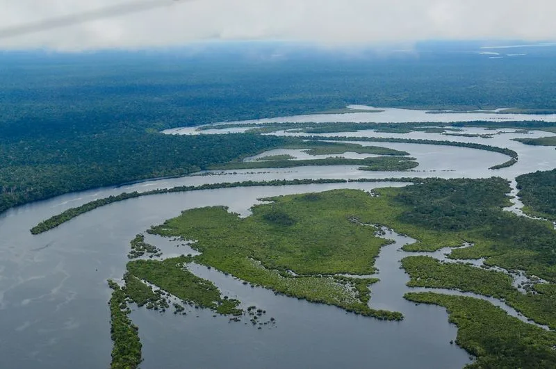 The Amazon Rainforest (Deforested Regions)