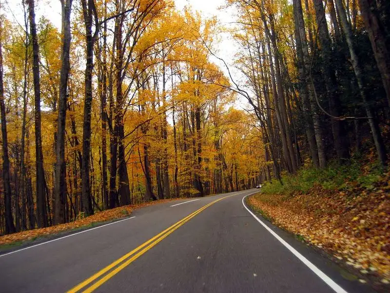 Great Smoky Mountains National Park