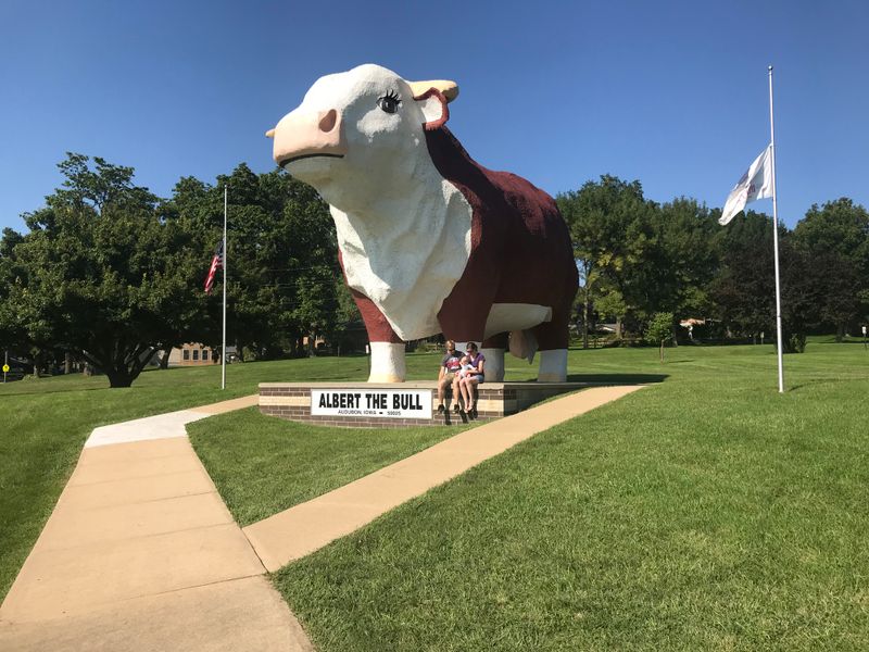 Albert the Bull – Audubon