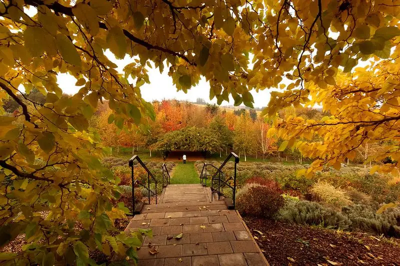 Fall Foliage in the Hills