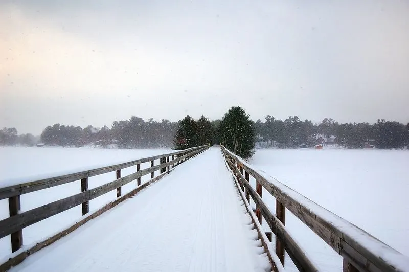 Winter Wonderland