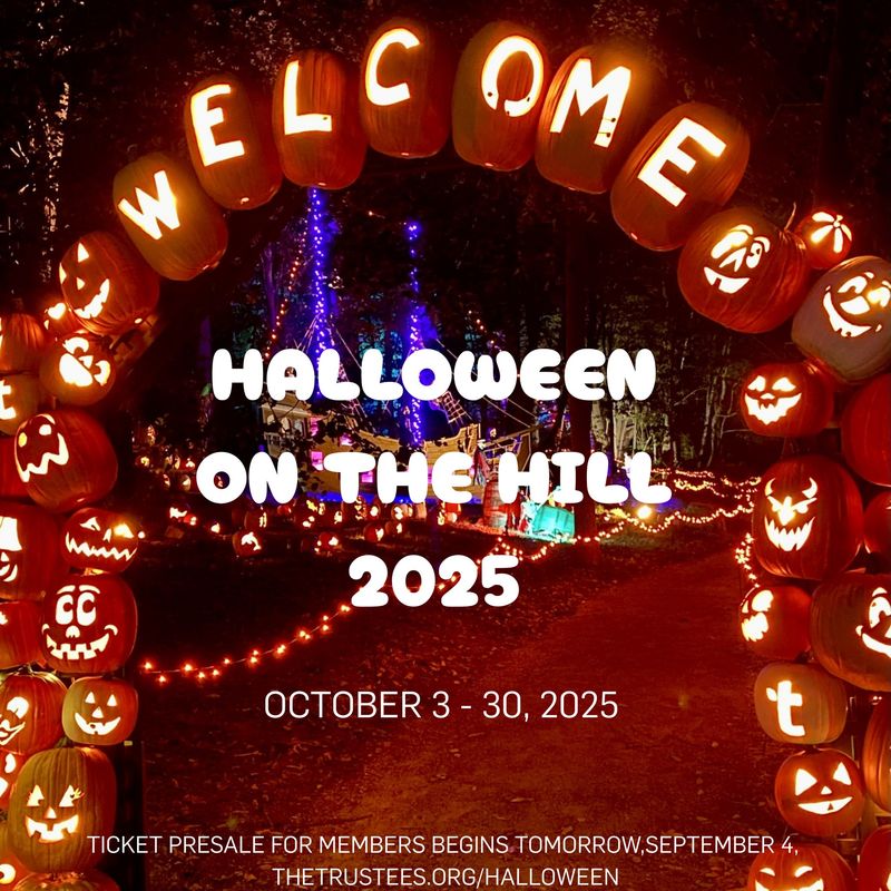 Halloween on the Hill (Long Hill)