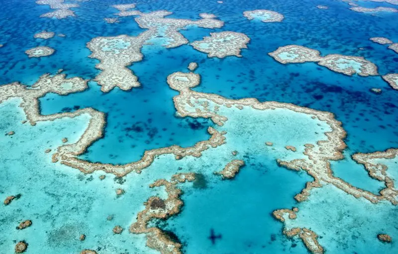 The Great Barrier Reef (Australia – Bleached Sections)