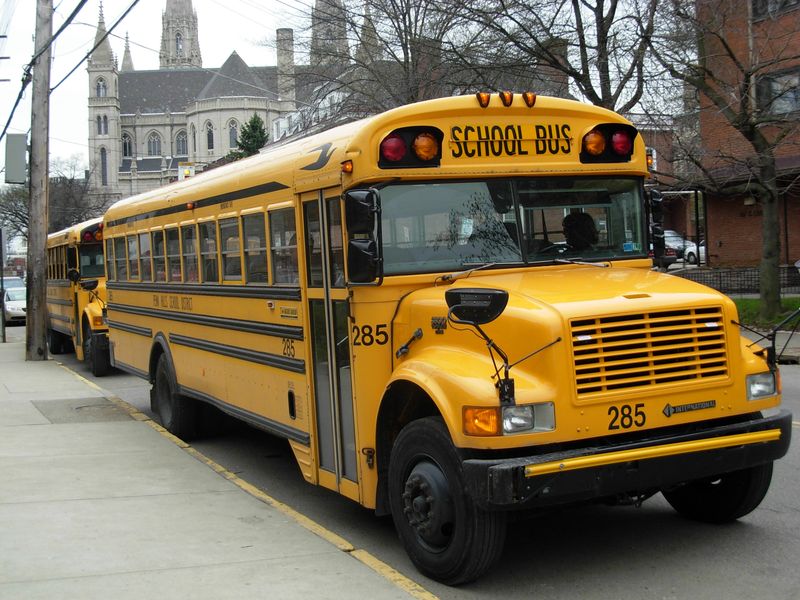 Yellow School Buses