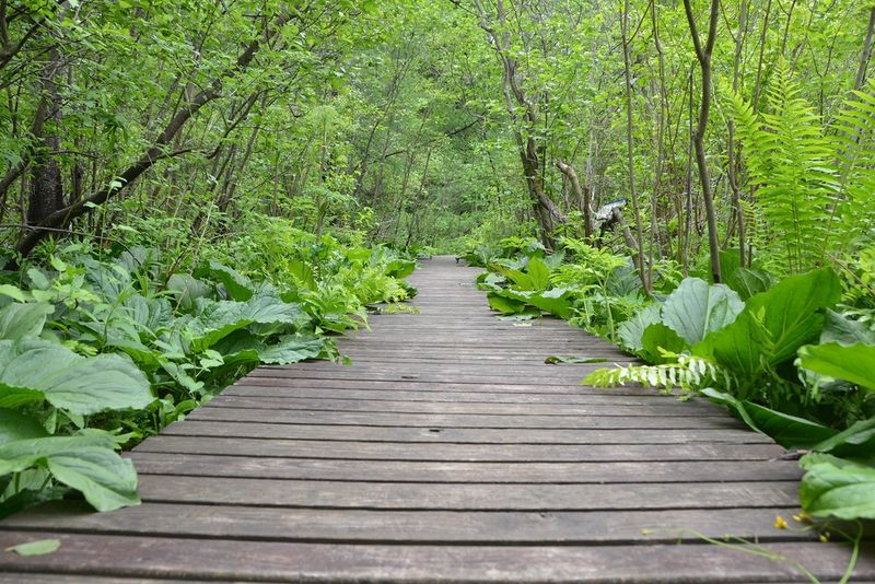 Pleasant Valley Wildlife Sanctuary