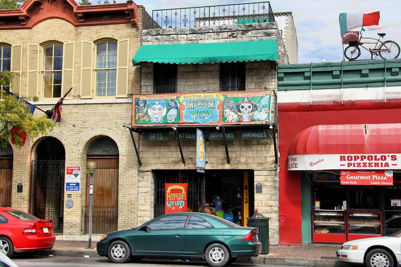The Museum of the Weird