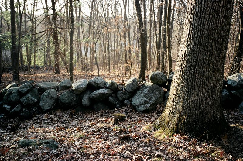 The Stone Wall Legacy