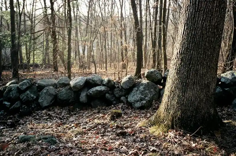 The Stone Wall Legacy